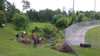 Scouts working on a cleanup project