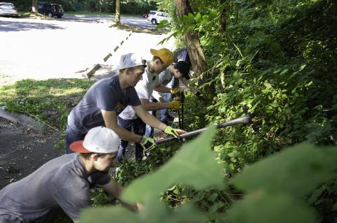 Invasive Management Volunteers