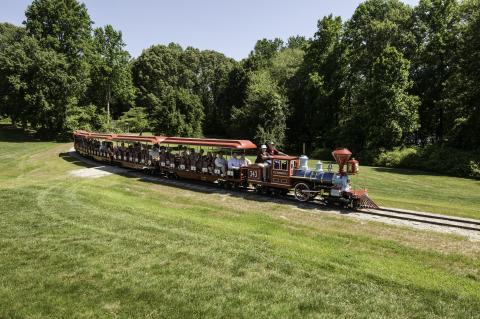Burke Lake Train 