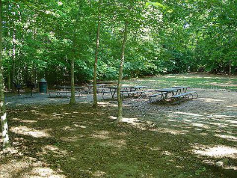 Burke Lake Picnic Area #2 