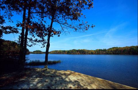 burke lake
