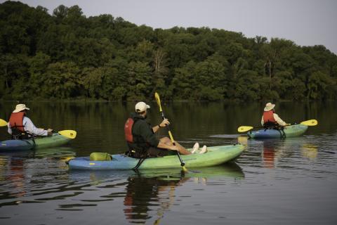 people kayaking