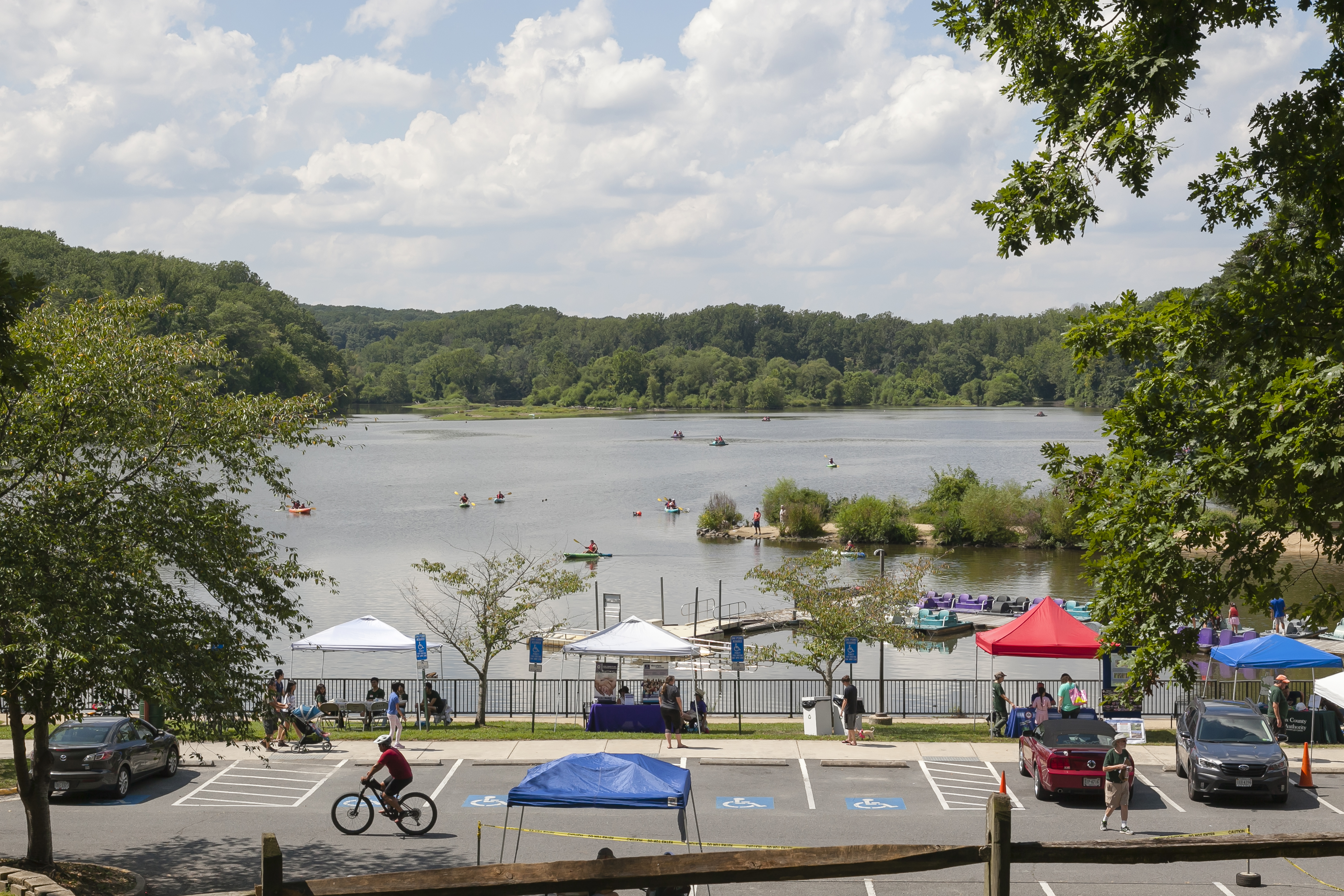 lake accotink park