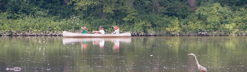 Lake Fairfax Park Marina