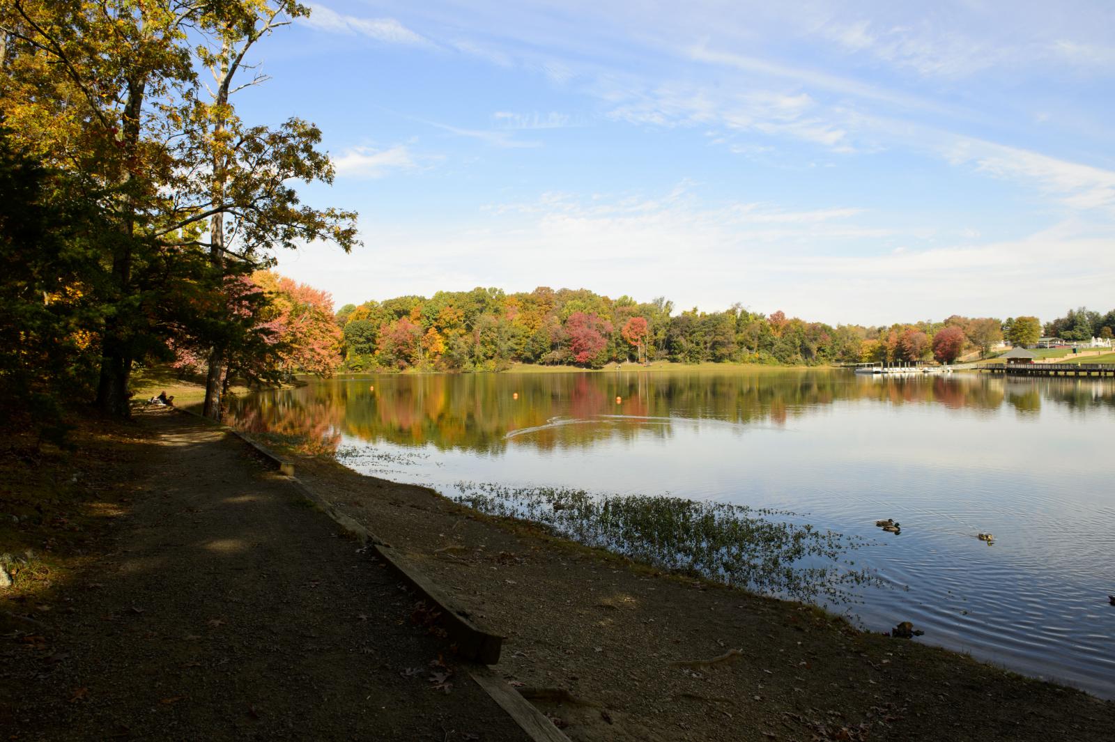 Lake Fairfax during Fall