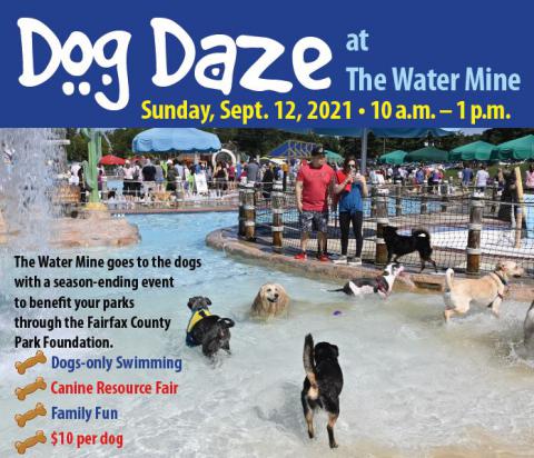 Dog Daze 2021 | Park Authority