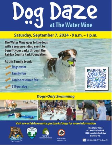Water Mine dog daze