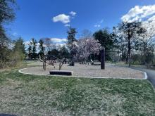 ruckstuhl park ruckstuhl park