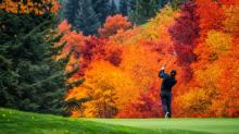 Golfer takes a swing