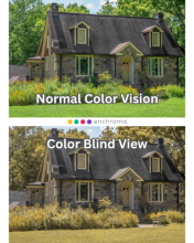 different colors