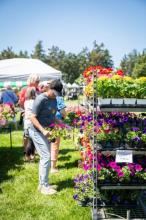 plant sale