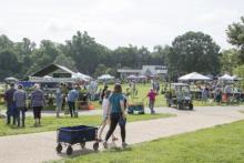 Big Plant Sale Big Plant Sale