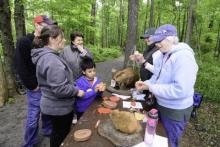 Wetlands Awareness Day Wetlands Awareness Day