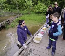 Wetlands Awareness Wetlands Awareness