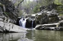 Scott's Run
