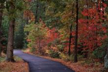 fall trails