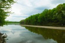 RoYal Lake