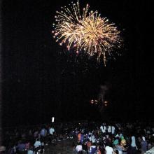 Lake Fairfax Fireworks Lake Fairfax Fireworks