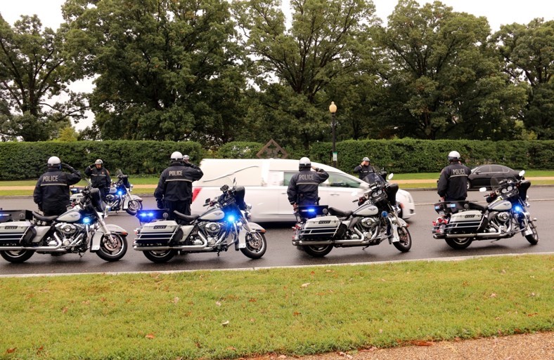 escort services fairfax va Public gang bang pics
