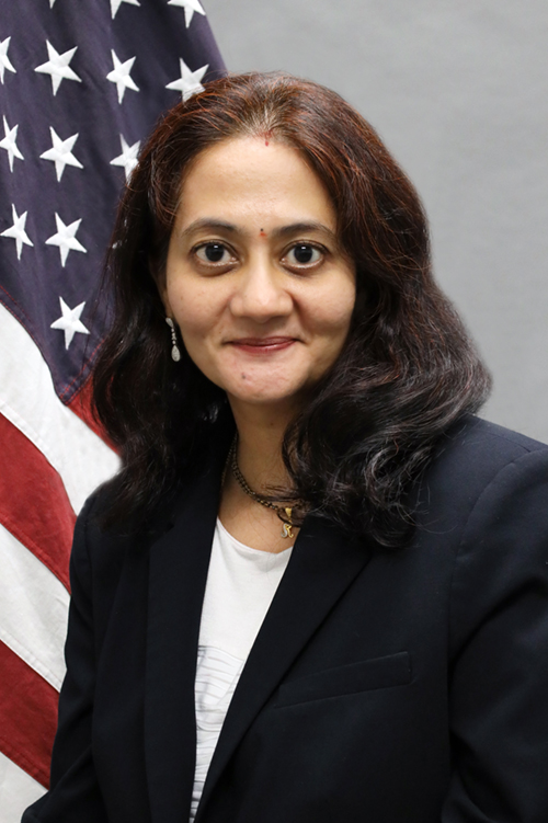 Information Technology Bureau Director