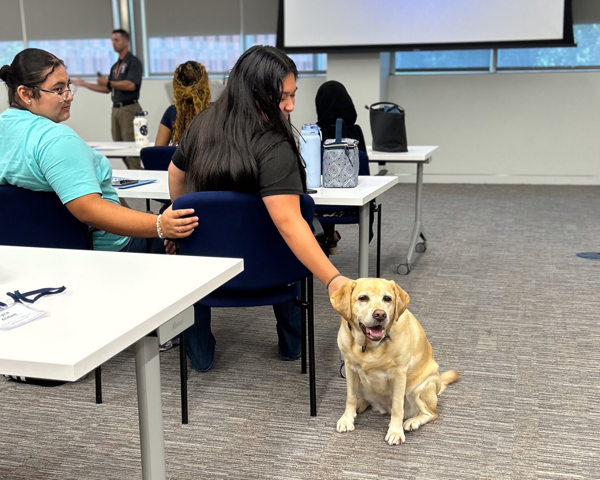 girls in a classroom looking back and petting one of the police department's emotional support dogs