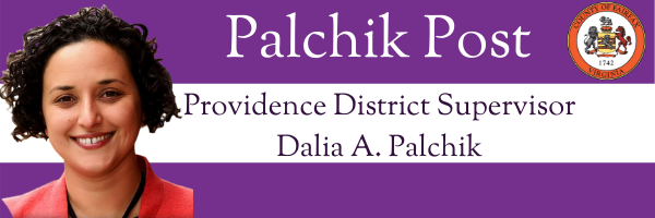 Palchik Post