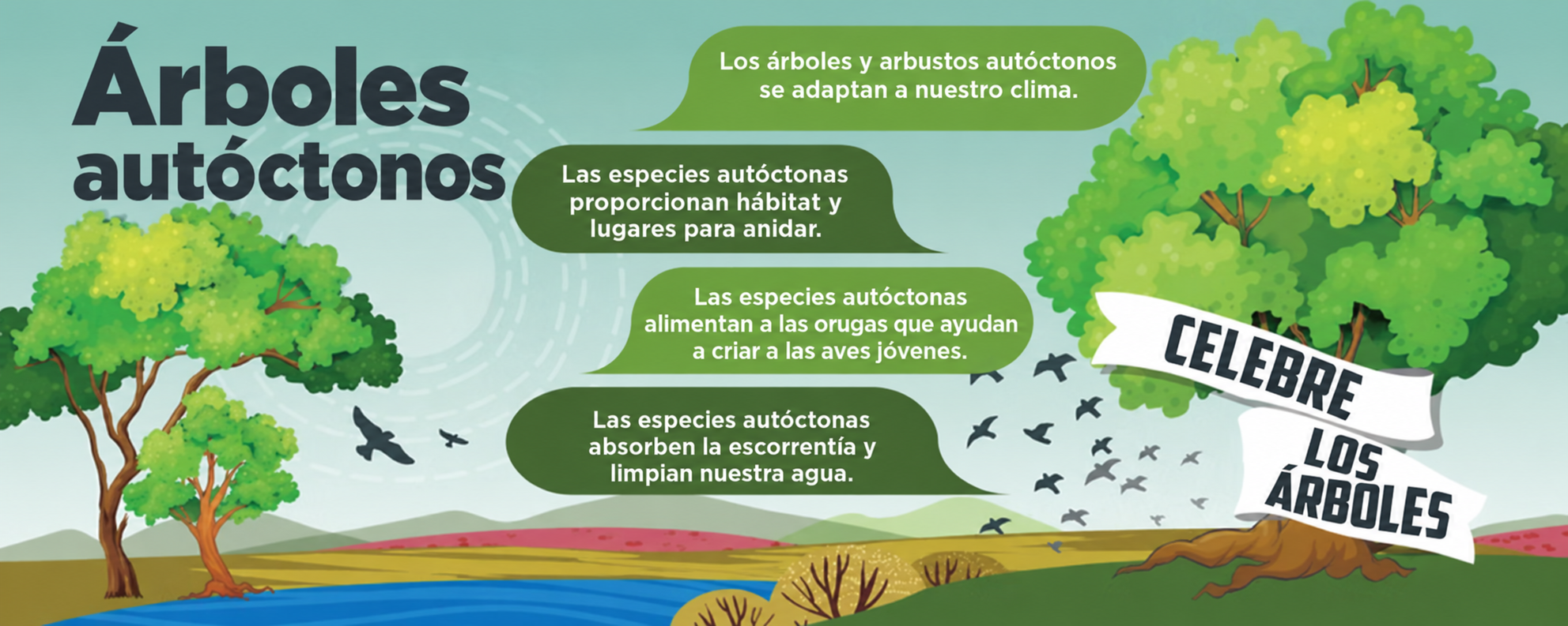 Infografía de árboles autóctonos