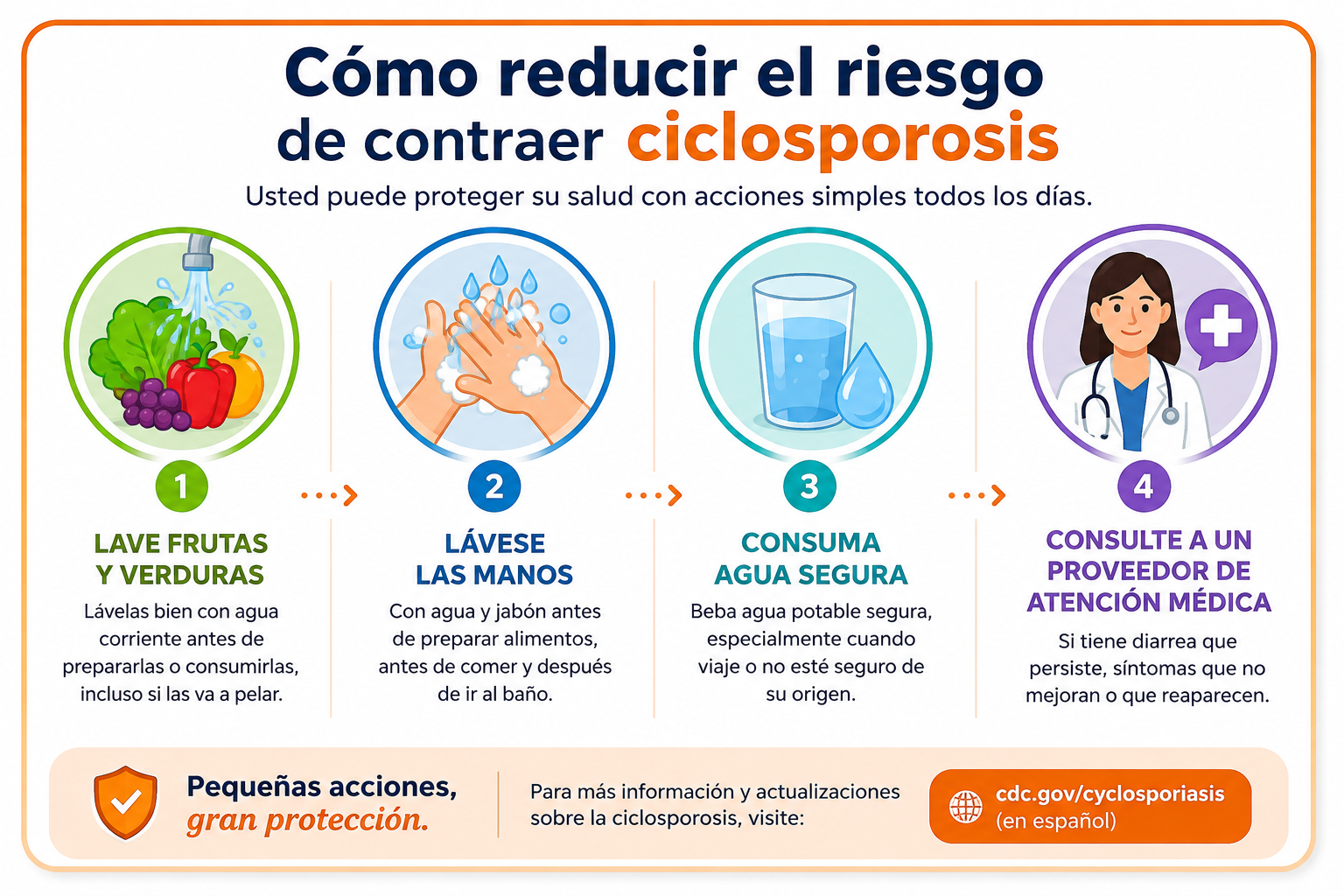 Cuadro de imagenes para prevención de la ciclosporosis width=