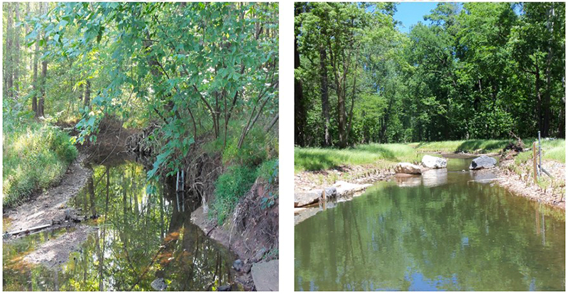 Before and After Stream Restoration