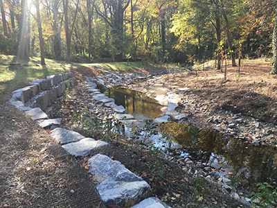 picture - Indian Run at Columbia Road Stream