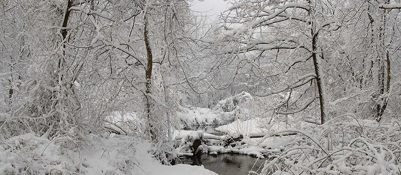 Longbranch covered in snow