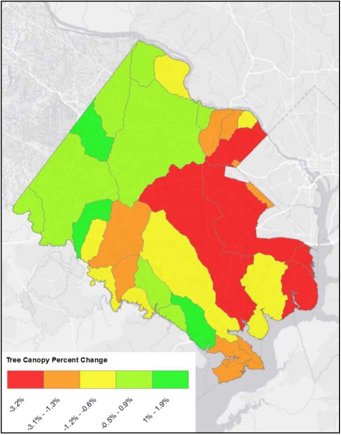 Canopy change by watershed