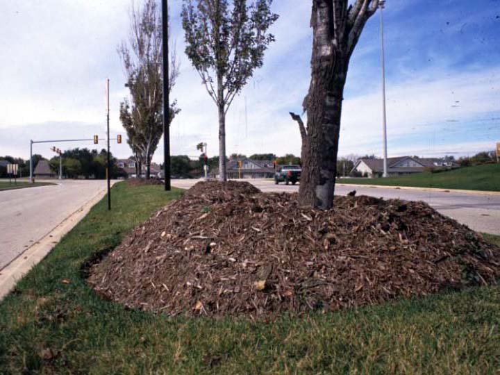 Mulch volcanoes