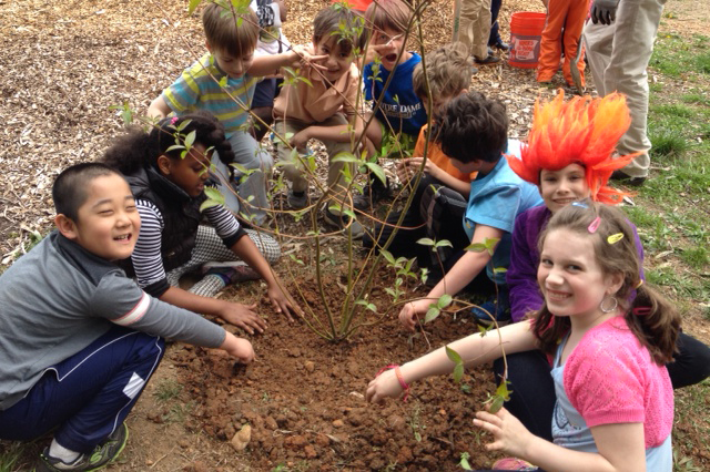 Tree planting at elementary school