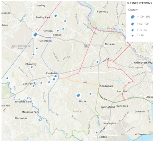 Spotted Lanternfly Infestations map