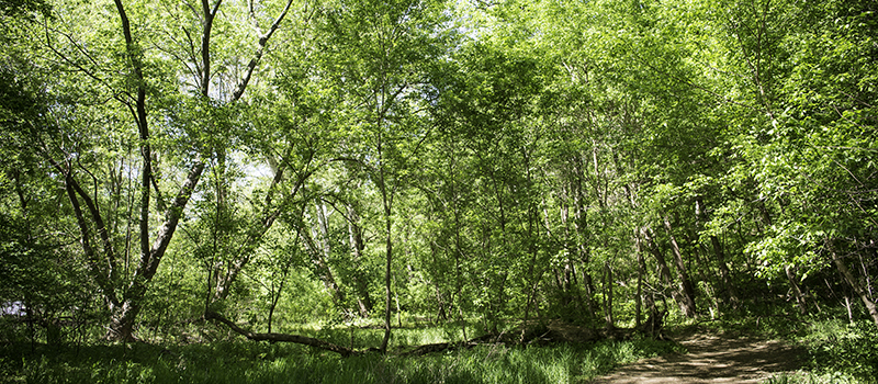 Riverbend Park in Spring