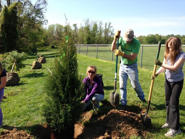 people planting trees