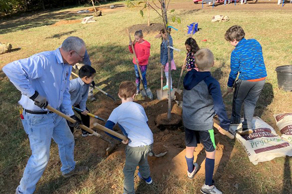 Tree Planting with Kids