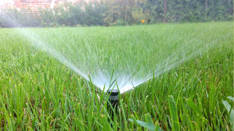 lawn sprinkler