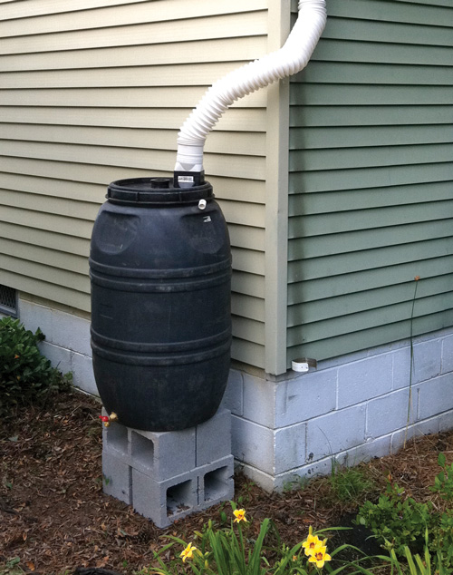 Rain barrel