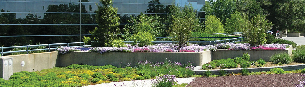 Vegetated Roofs