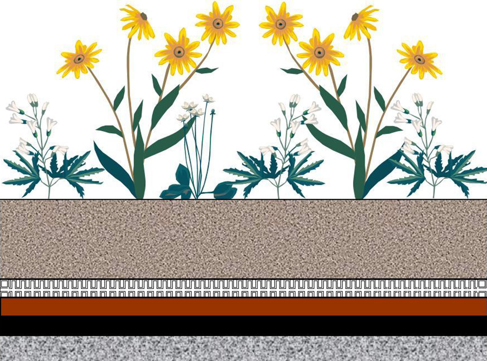 Cross section illustration of vegetated roof shows, from top to bottom, Plant Layer, Engineered Soil Media, Drainage Layer, Root Barrier Membrane, Waterproofing Membrane, and Structural Support (Roof).