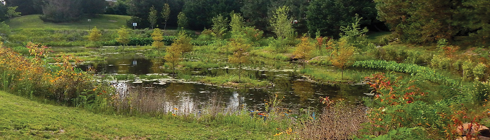 Wet pond