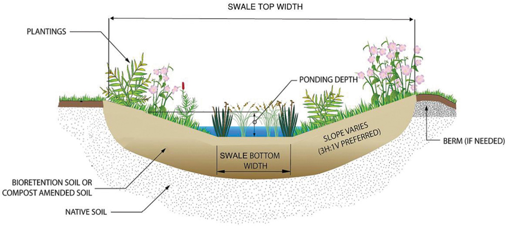 Cross-section illustration of a wet swale shows preferred slope is 3H:1V.