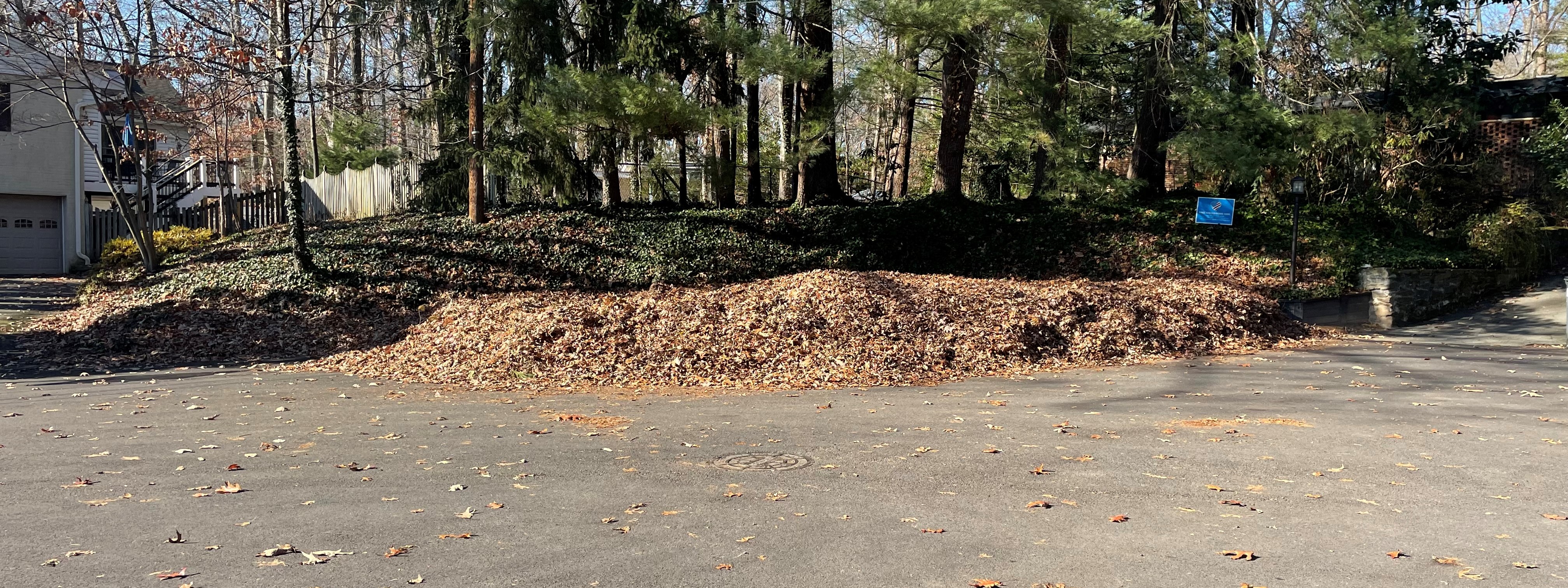 Vacuum Leaf pile