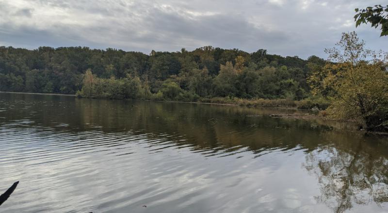 Lake Accotink