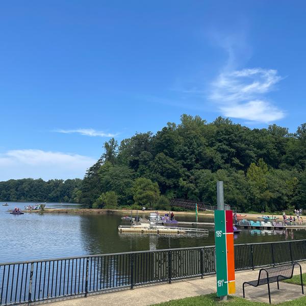 Lake Accotink park shore. 
