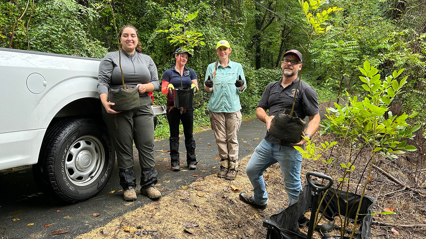 Tree planting in Bren Mar park.