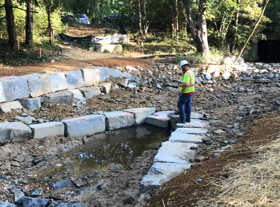 Cottage Street Emergency Sewer Repairs