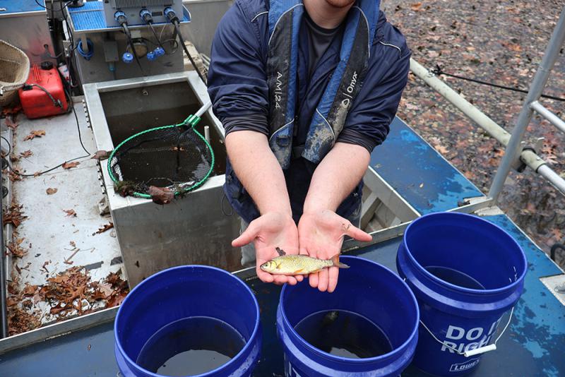 Photo: Fish relocation